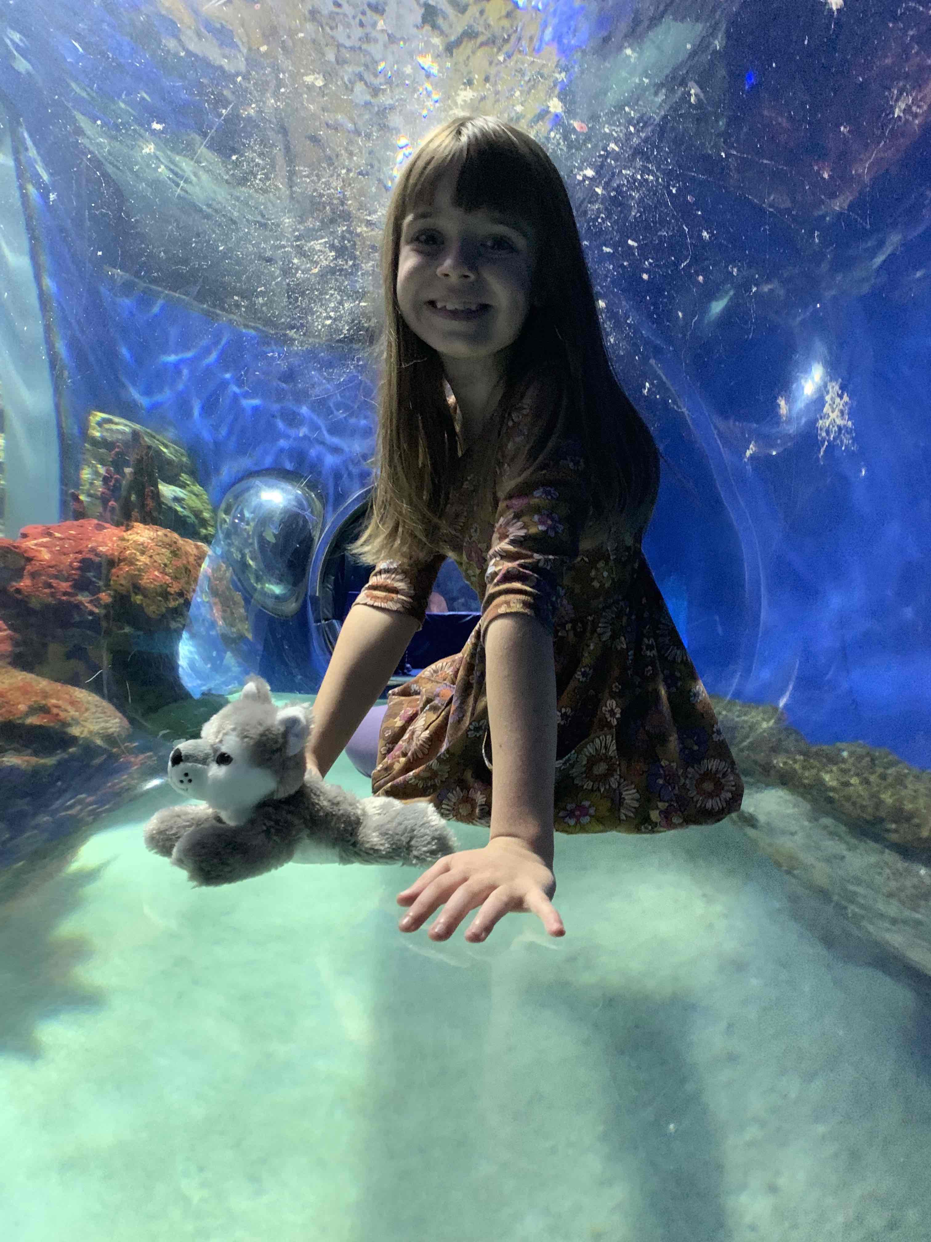 Adessa at Aquarium