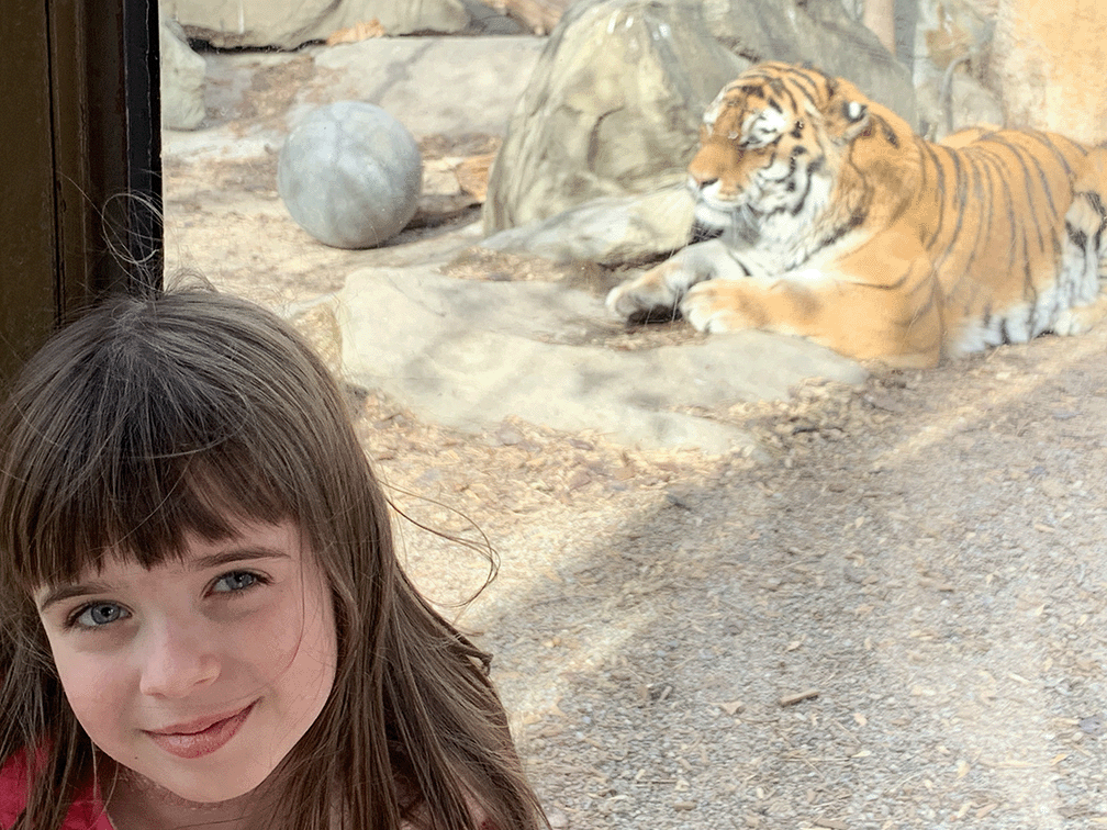 Adessa with the tiger at the zoo