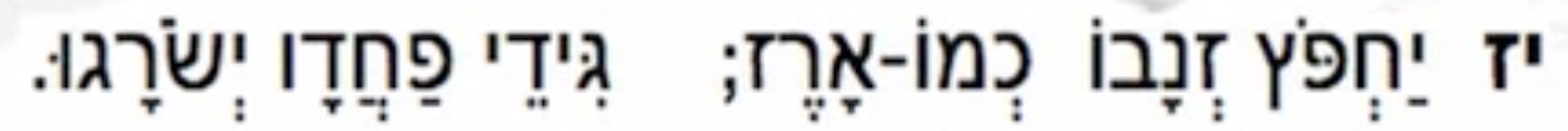 greek job 40